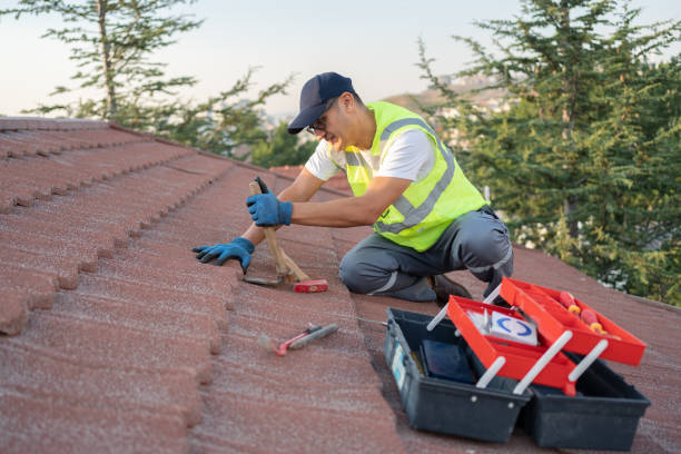 Best Roof Repair Services  in Ames, IA